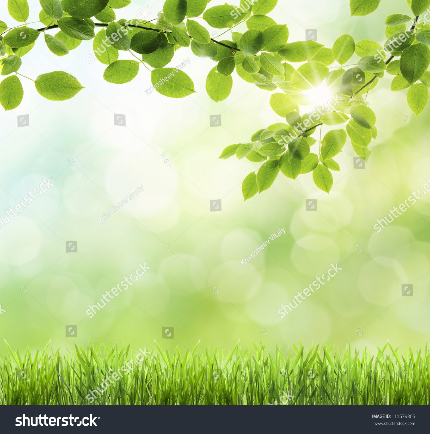 Abstract Green Natural Background Stock Photo