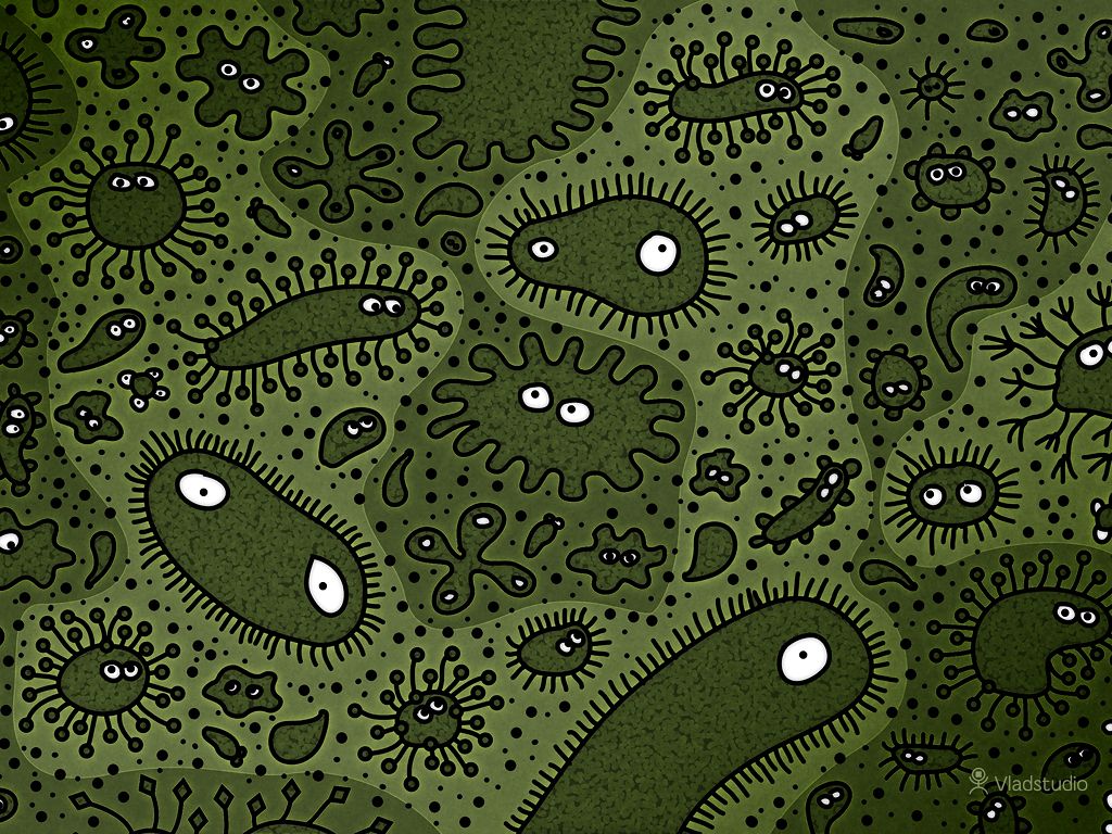Microbes Wallpaper In Microbiology Desktop