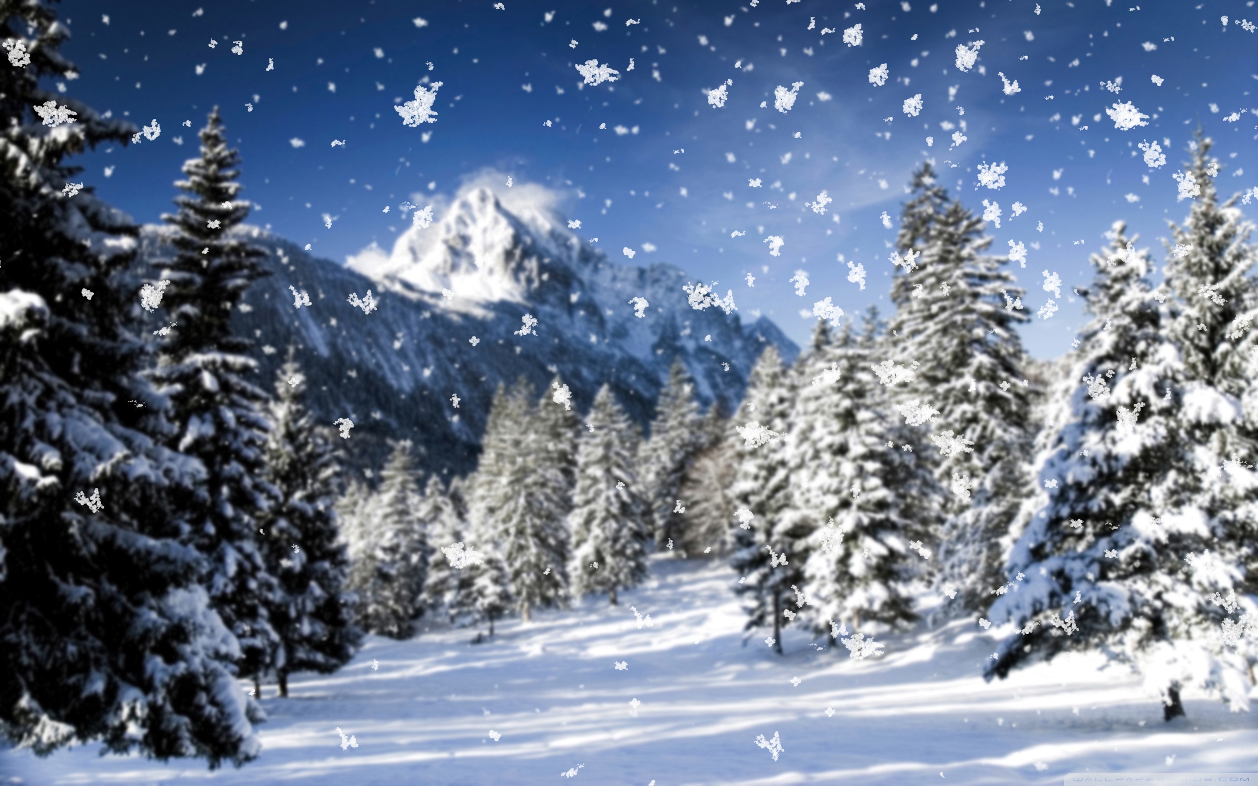 Snowflakes falling on snow-covered pine trees in a mountain valley