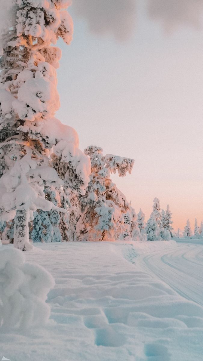 Winter Background iPhone Artofit Wallpaper