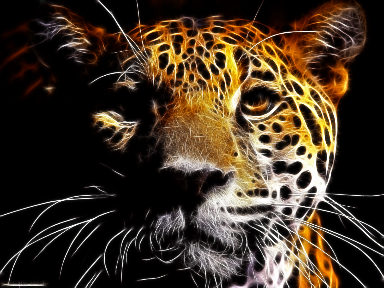 Jaguar Duvar Ka Tlar HD Wallpaper Kaliteli Resim