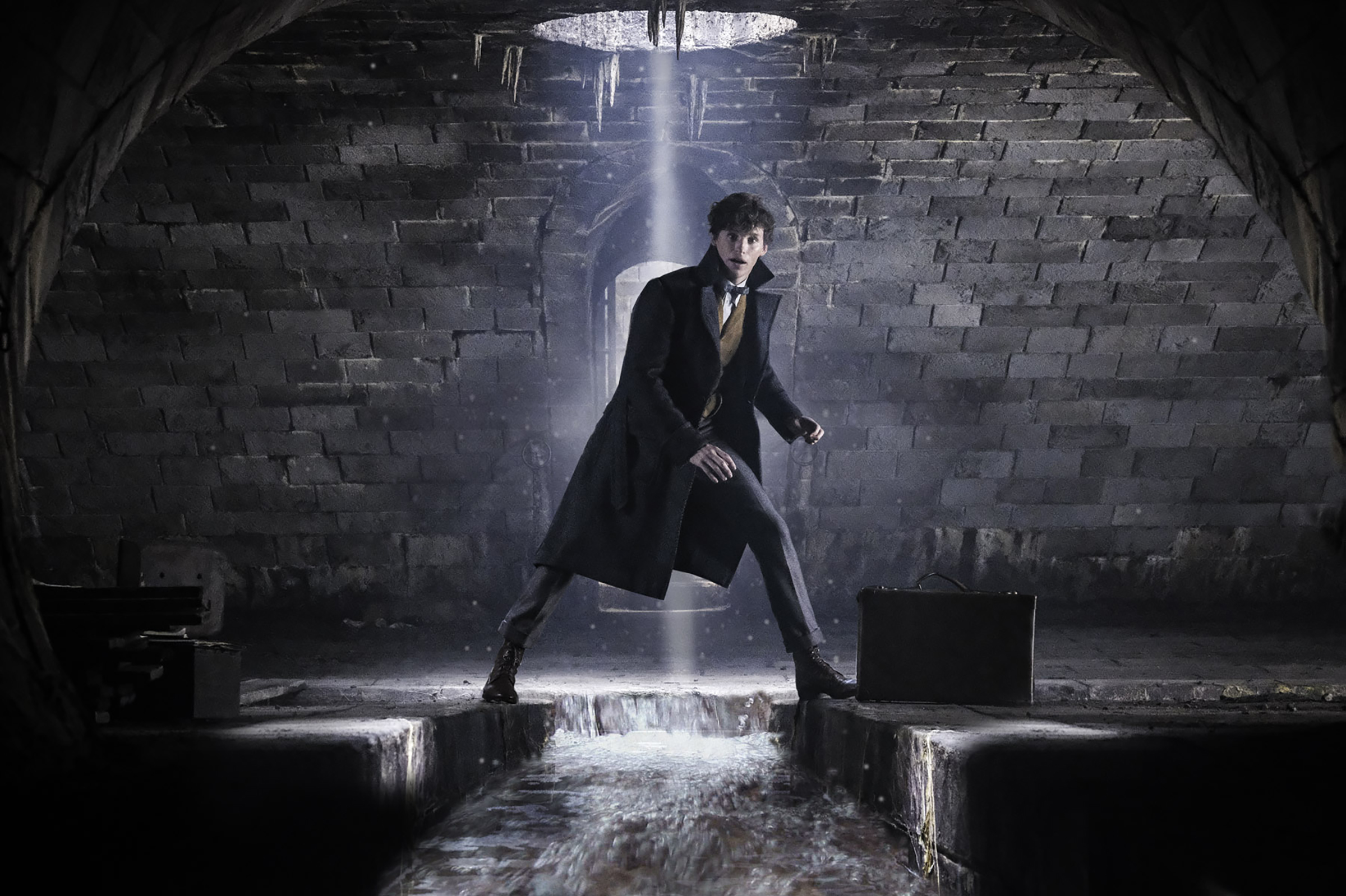 New Image From Fantastic Beasts The Crimes Of