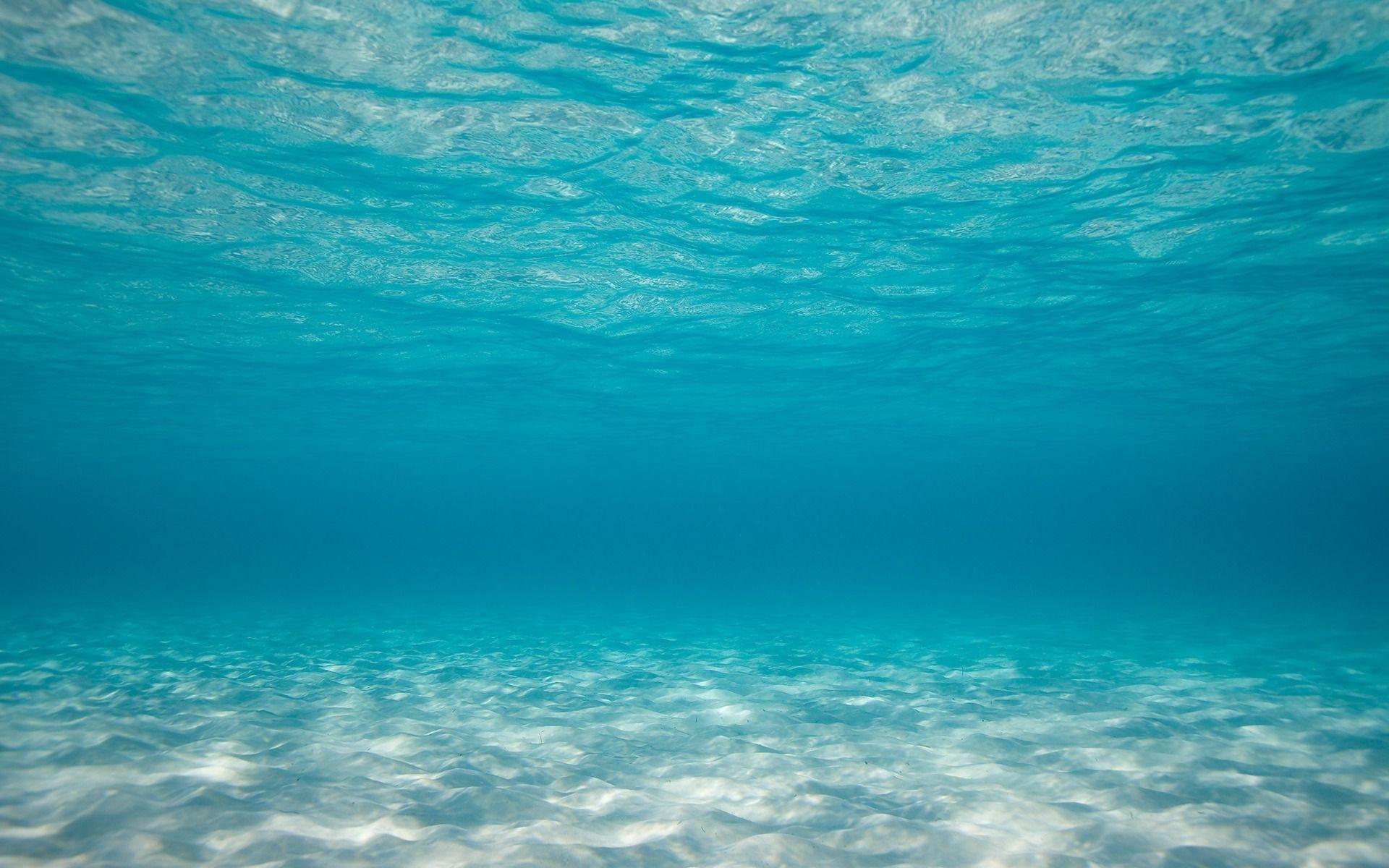 Under Ocean Wallpapers