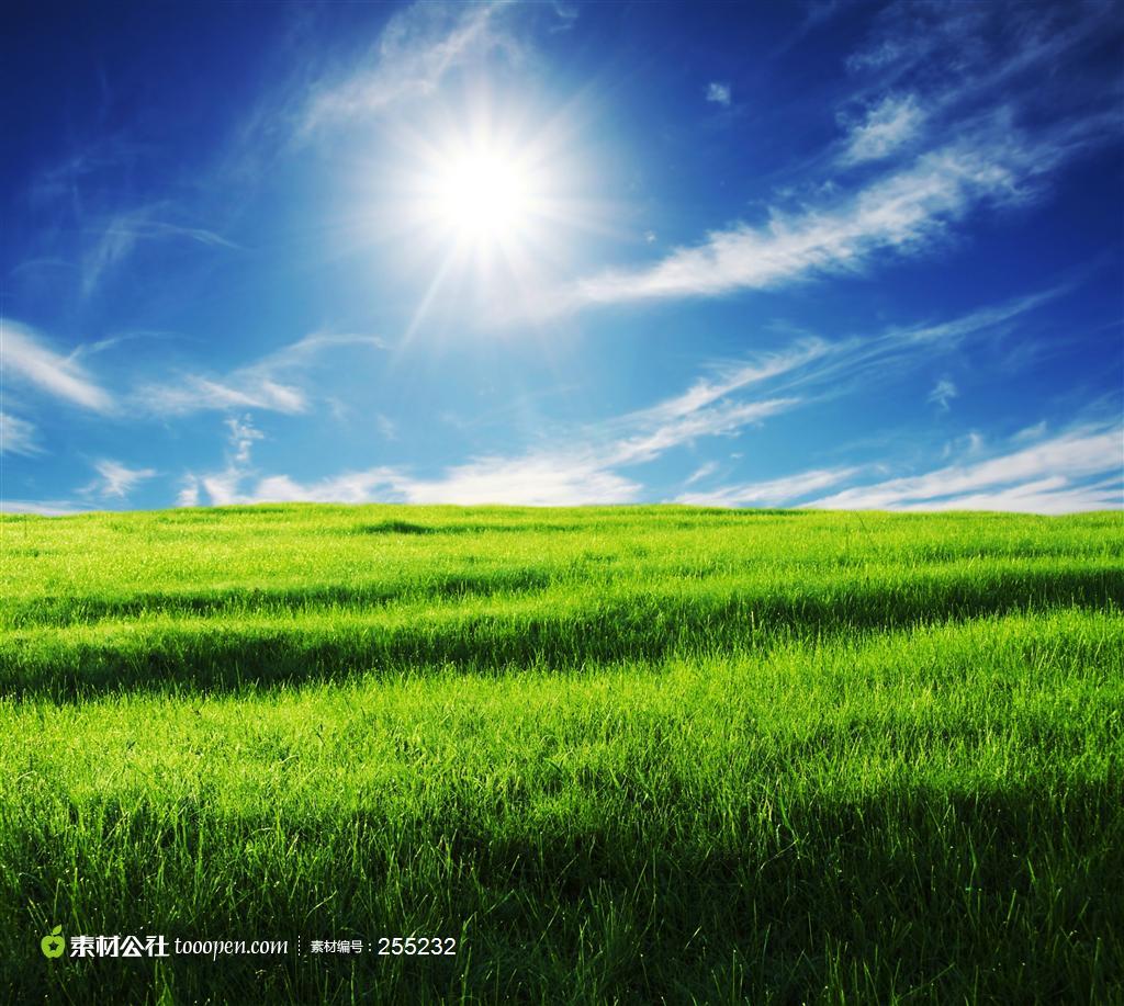 Free Download Windows Xp Bliss Wallpaper Download Wwwhigh Definition Wallpaper 1024x917 For Your Desktop Mobile Tablet Explore 42 Xp Bliss Wallpaper Download Windows Xp Bliss Wallpaper Location Windows Xp