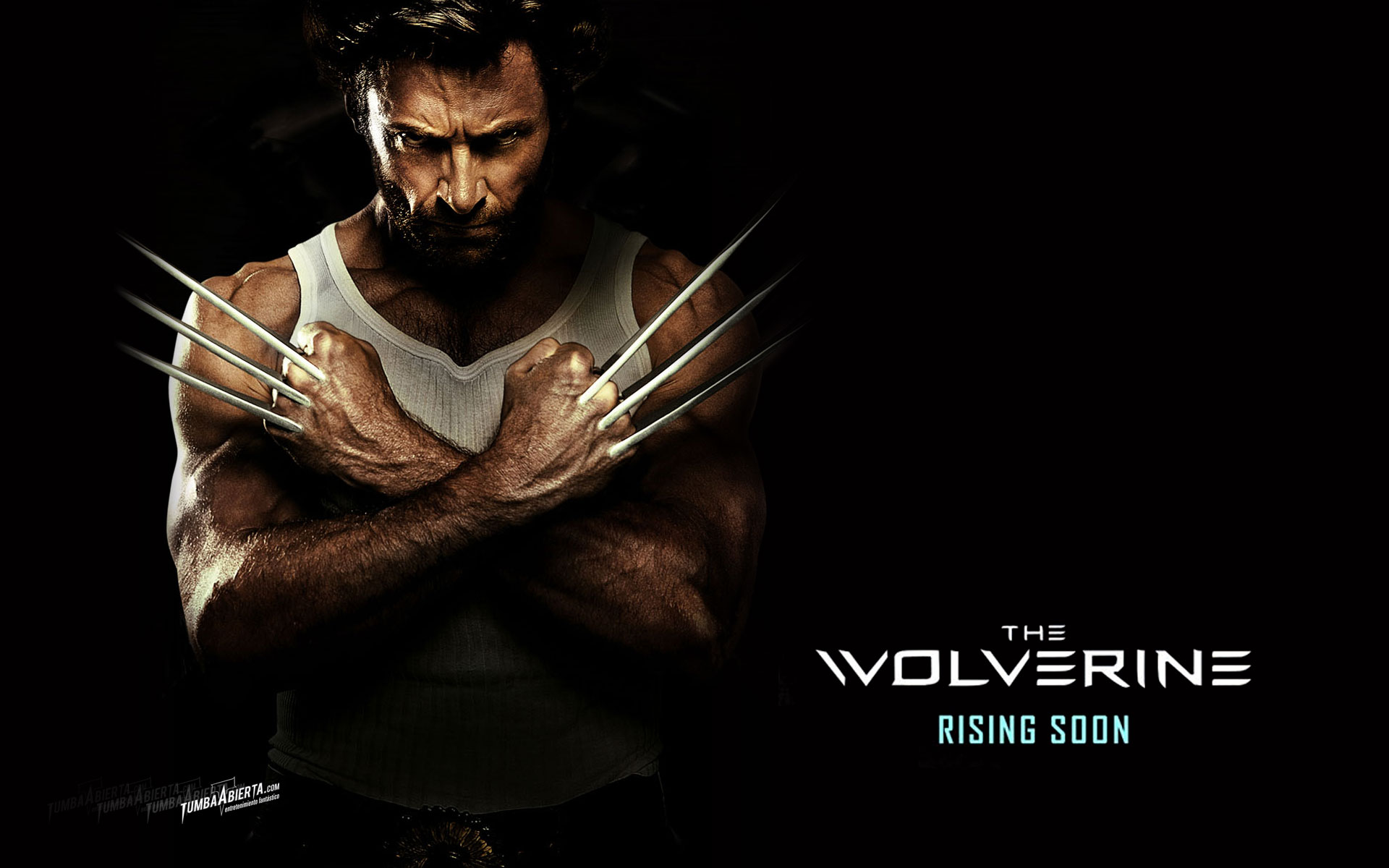 Wallpaper HD The Wolverine V3