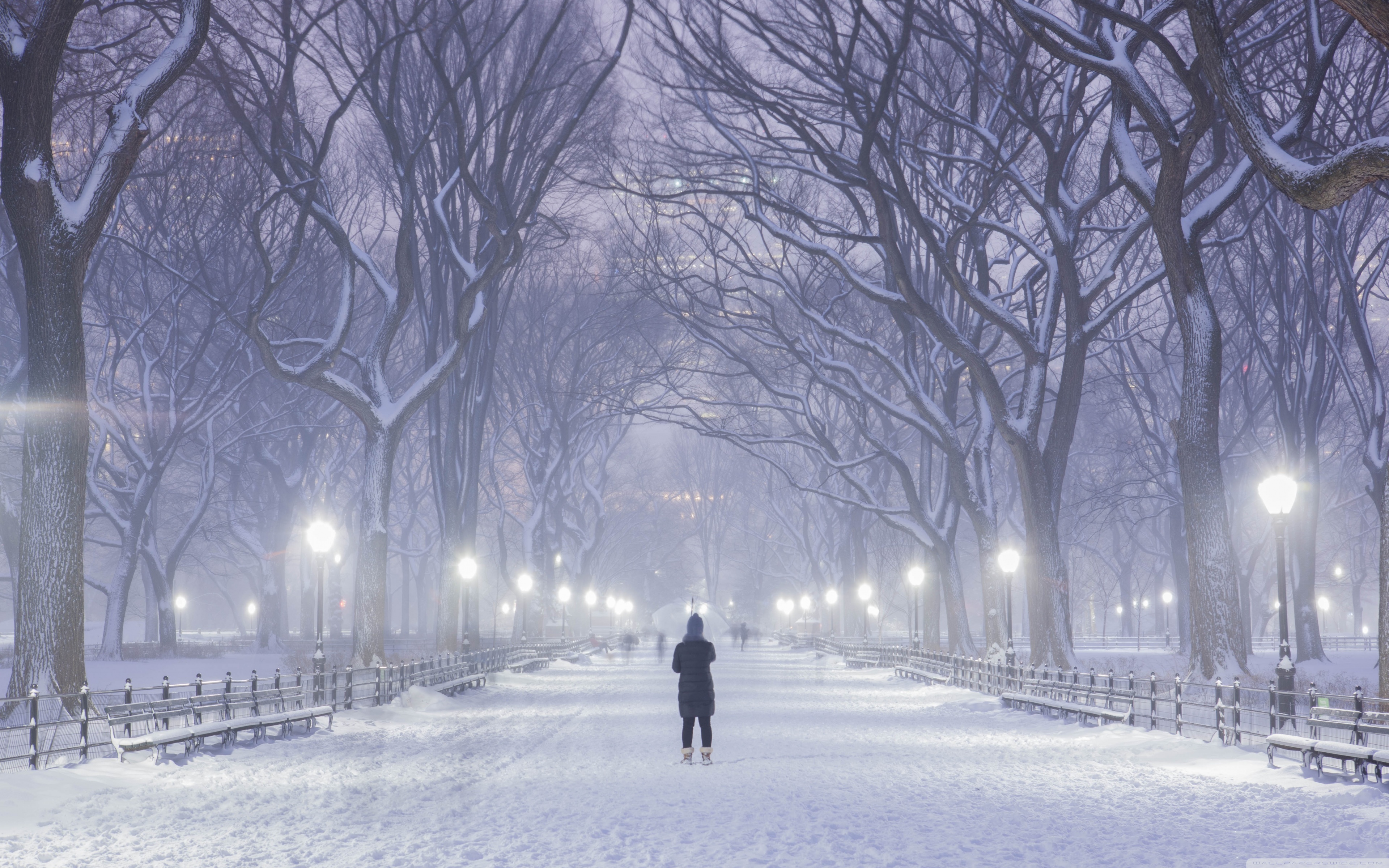 Central Park New York City Winter Background 4k HD Desktop