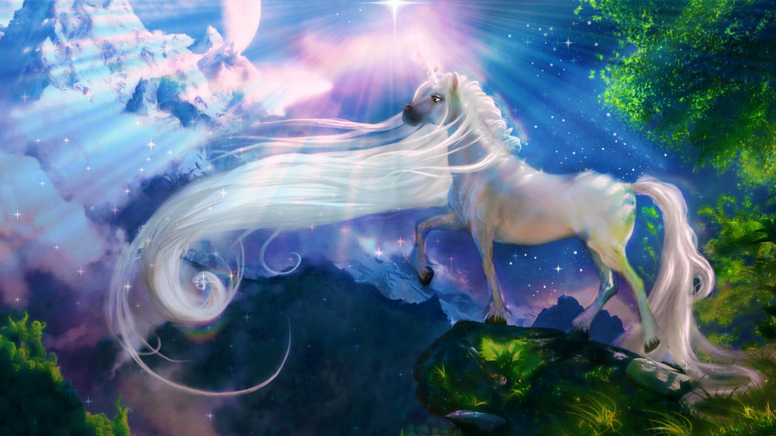 Unicorn Fantasy High Quality And Resolution Wallpaper