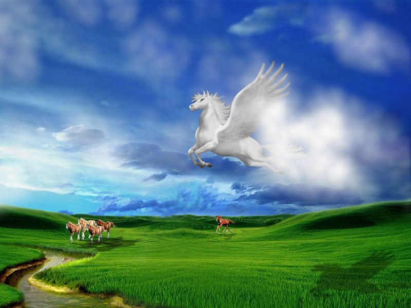 Archive Flying Horse Over Field Wallpaper