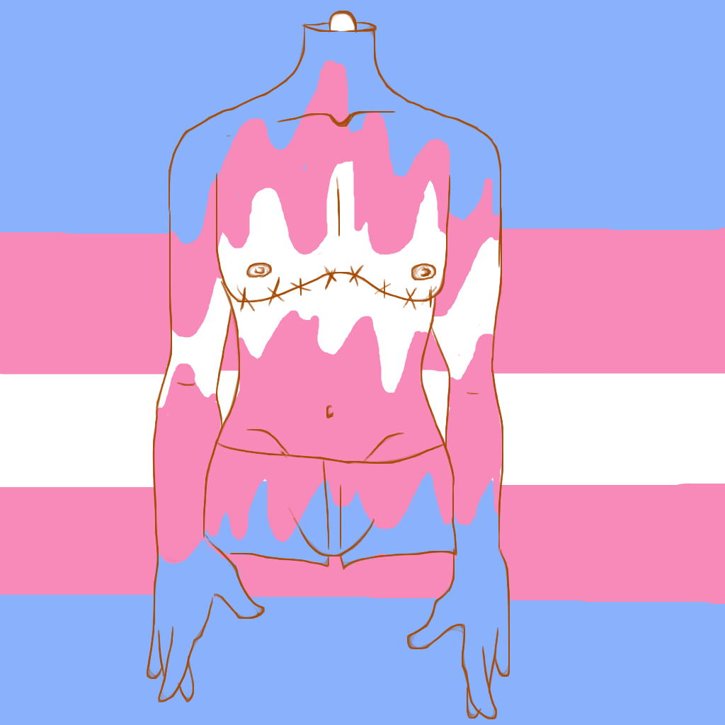 Transgender Pride By Bizarrestar203