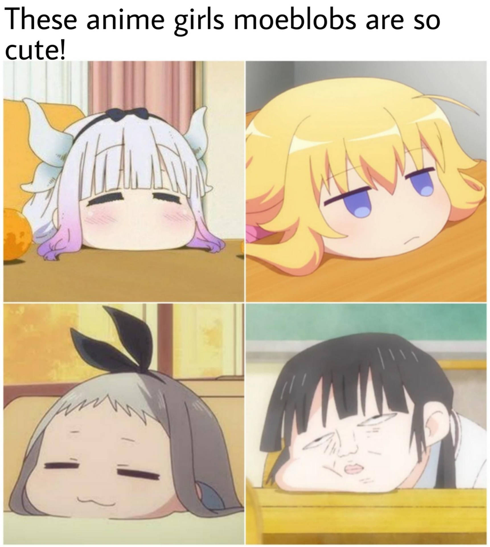 Anime Meme Wallpaper