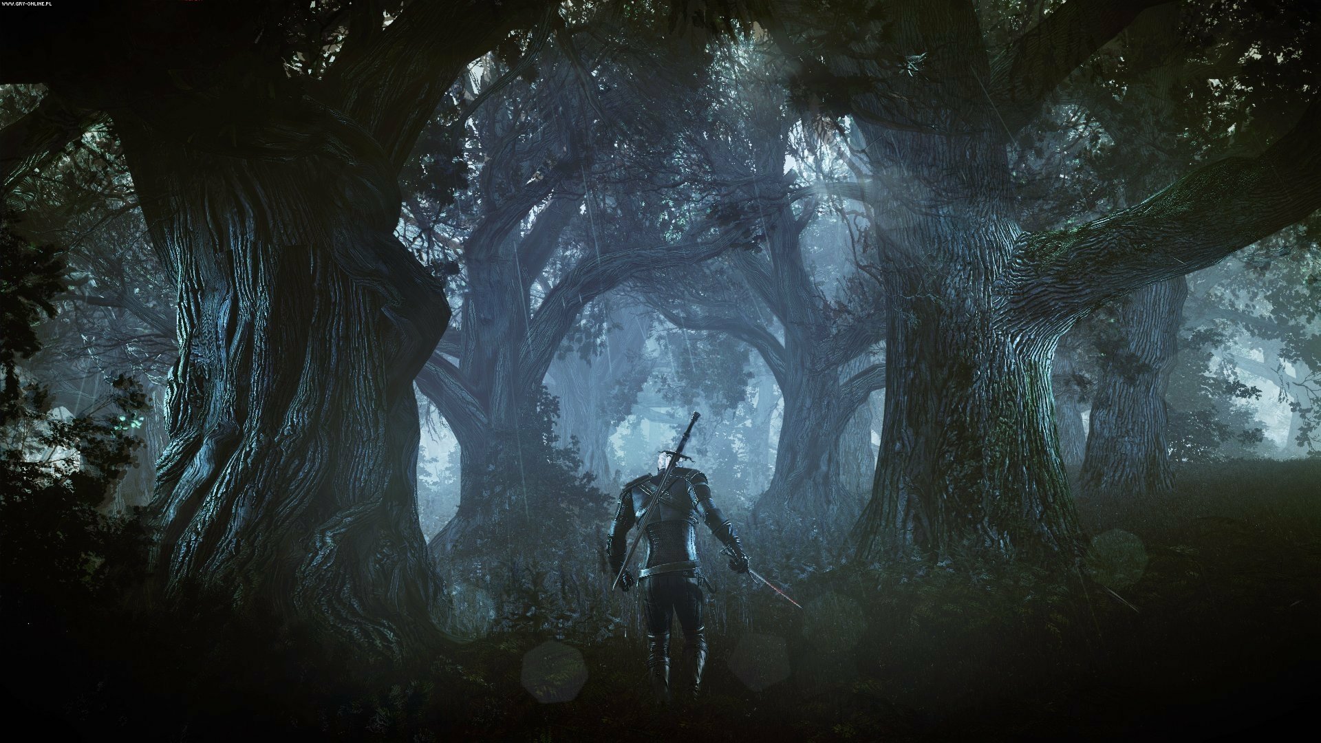The Witcher Wallpaper