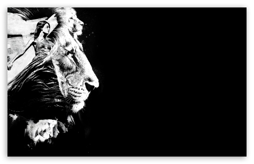 To The Lions HD Desktop Wallpaper Widescreen High Definition