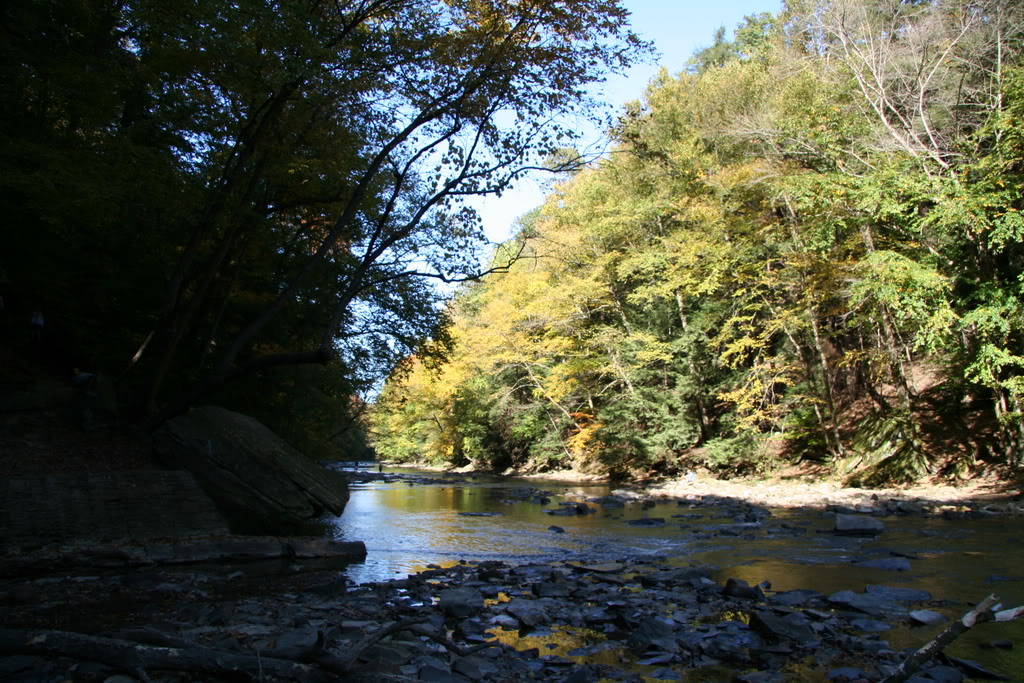 Ne Ohio Background Fall Foliage On The Chagrin River