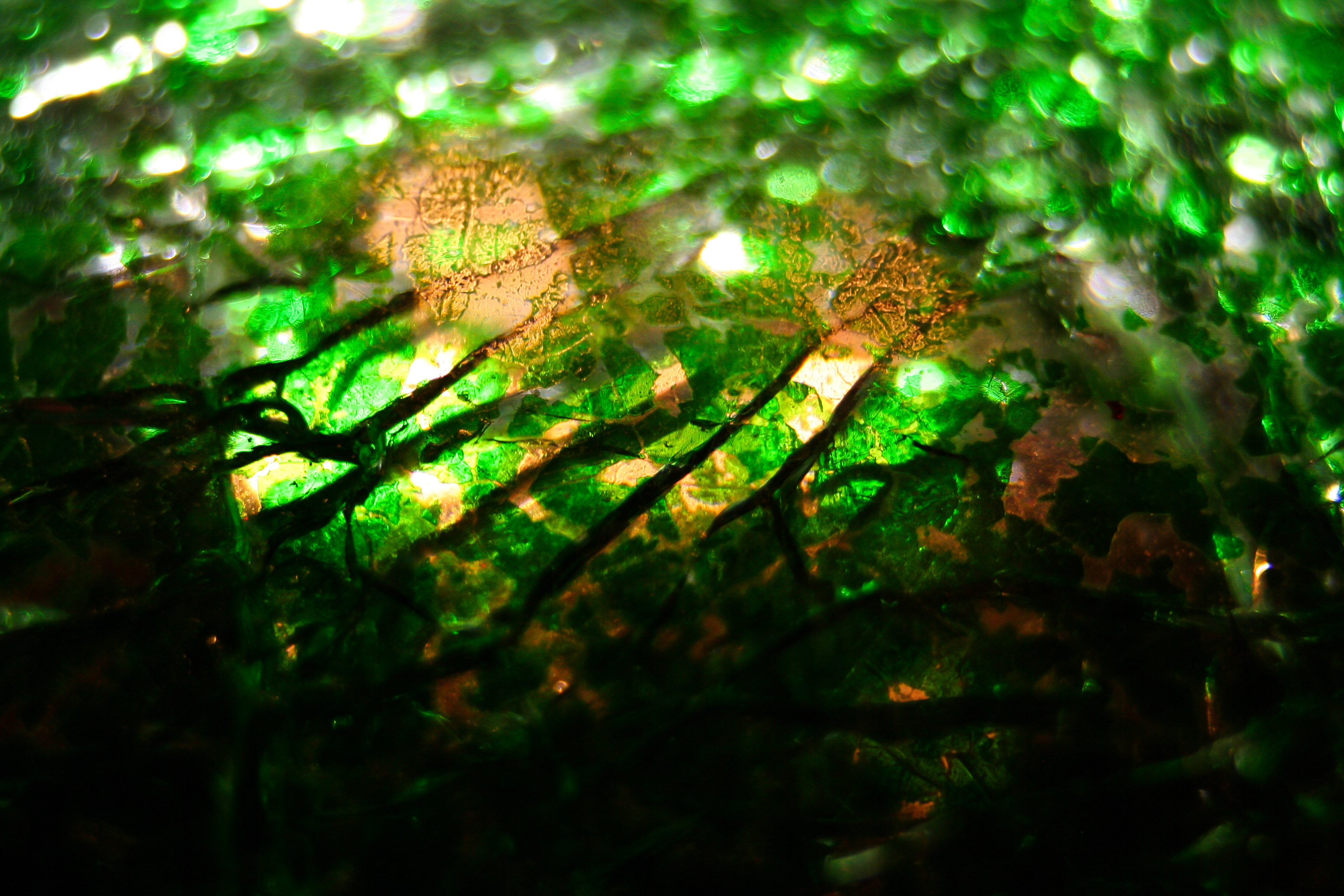 Green Cracked Glass Texture Stock Background Wallpaper Broken Image