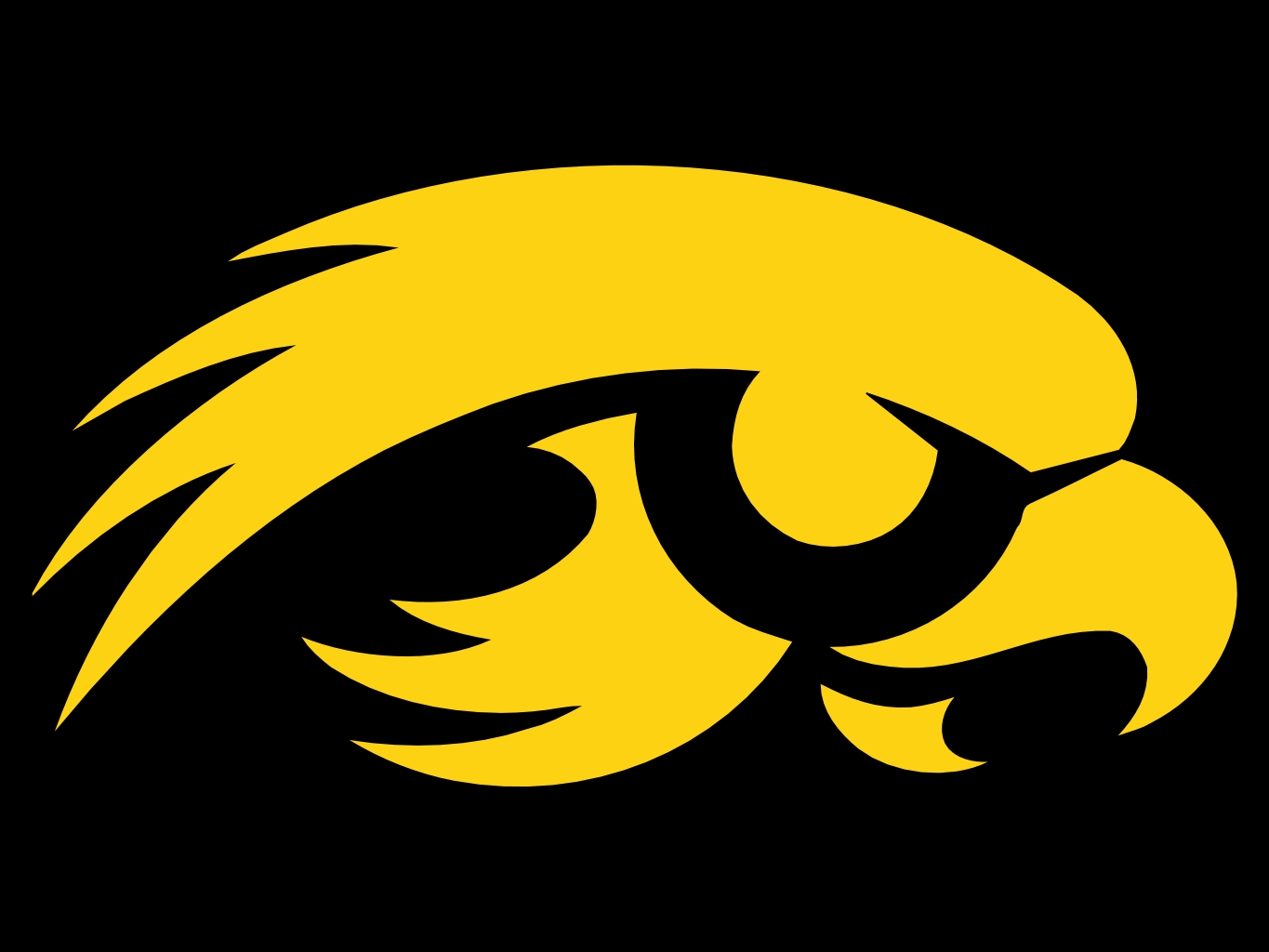 [50+] Iowa Hawkeye Wallpapers on WallpaperSafari