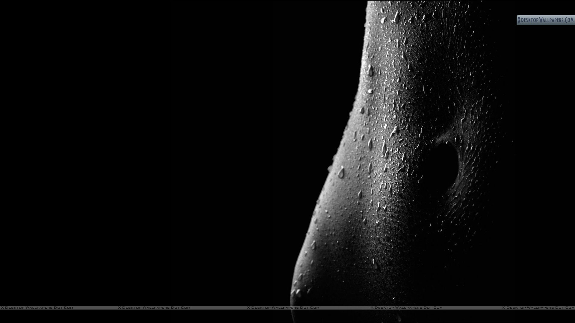 Skin With Water Drops Black N White Wallpaper