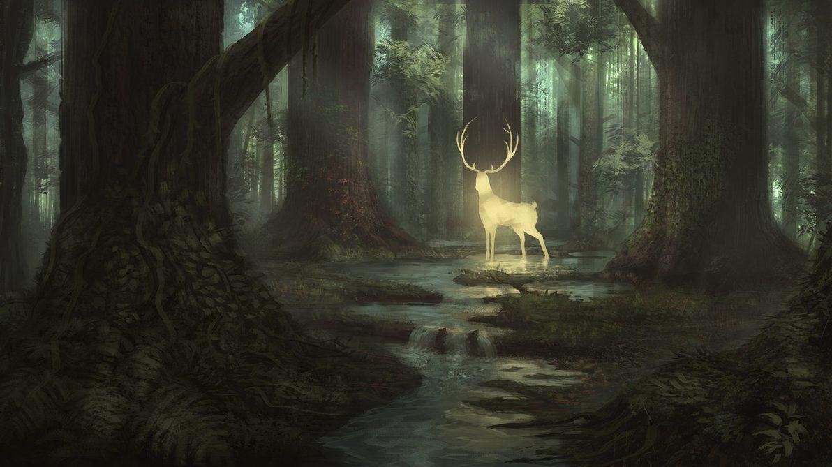 Magic Deer By Sucdeportocale Wallpaper Woodland