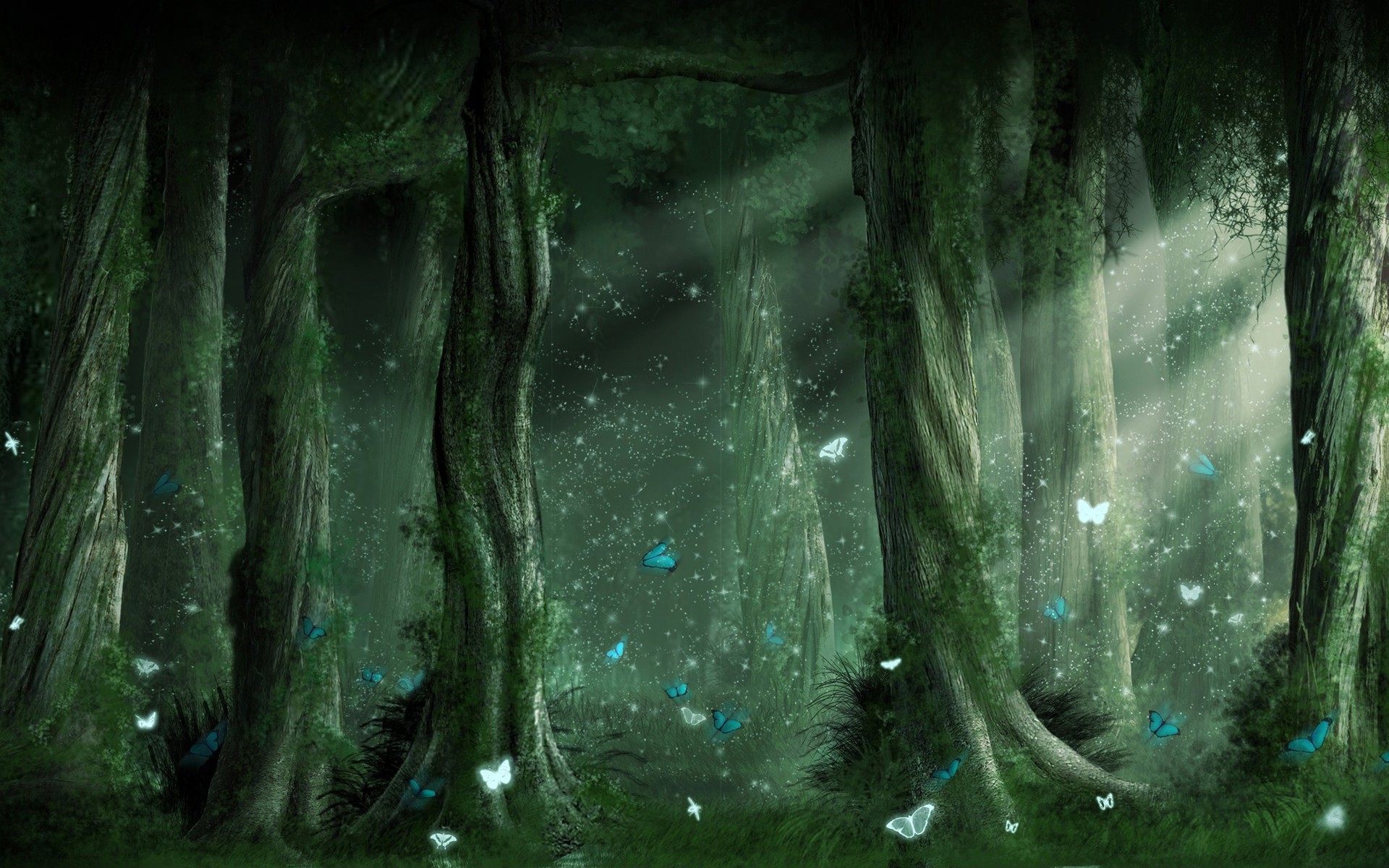 Extra Wallpapers   Magic forest