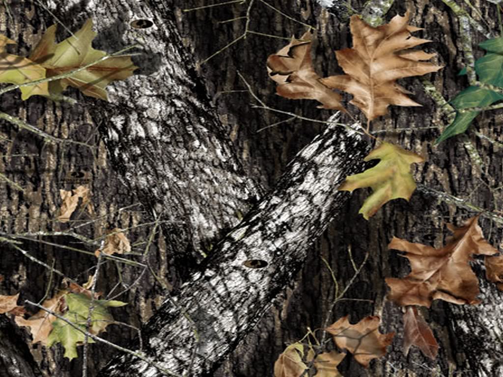 Mossy Oak Breakup Infinity Vs Realtree Ap