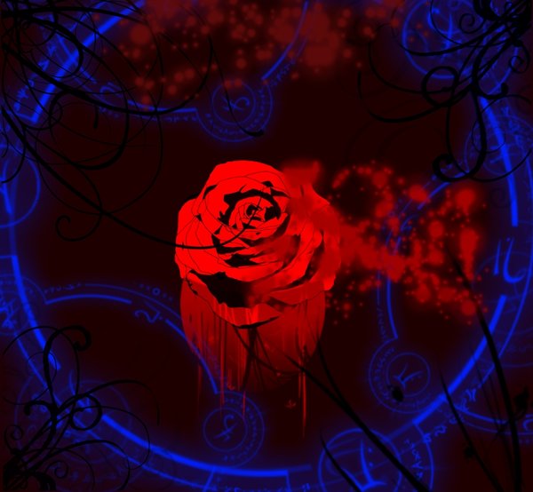 Bloody Rose Wallpaper By Naomasdarkside