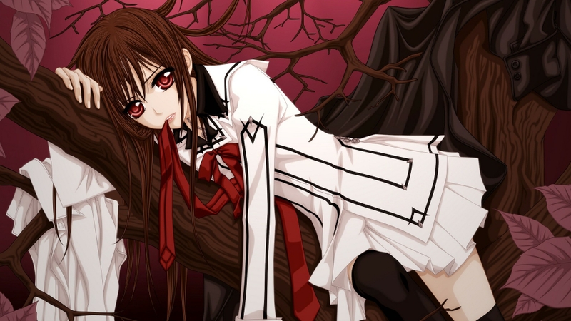 vampires, anime girls, blood  4096x2874 Wallpaper 