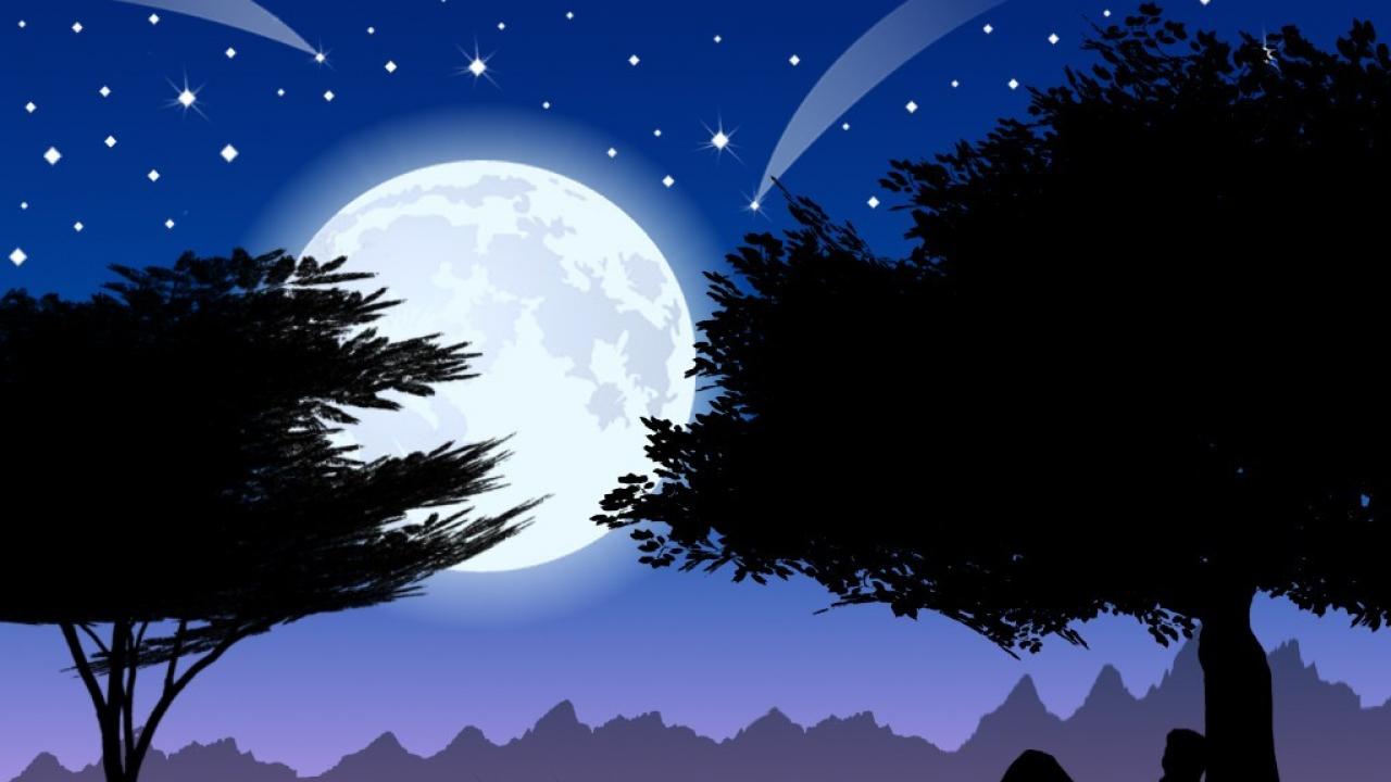Cartoons Trees Night Stars Moon Wallpaper