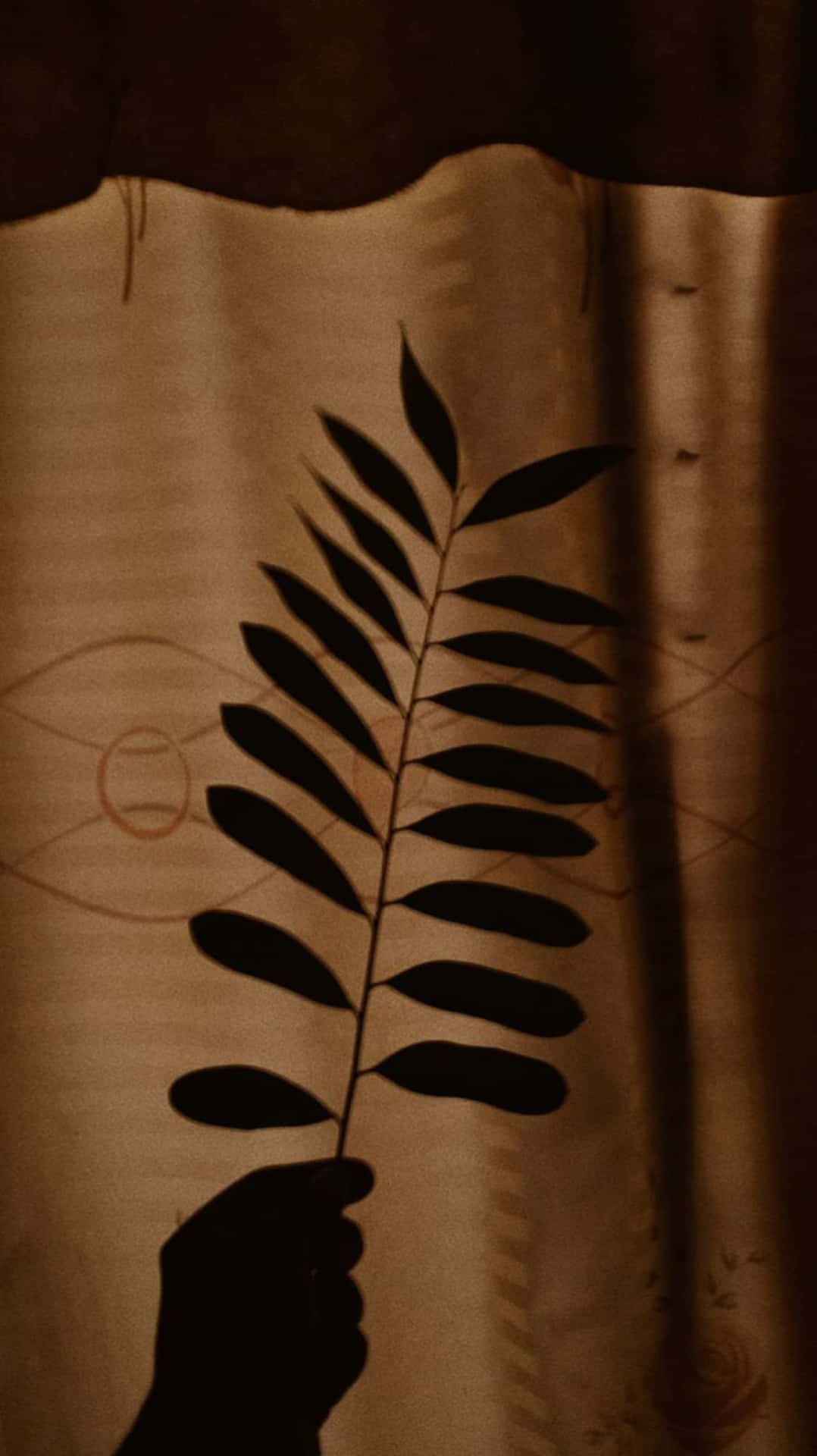 Tan Background Wallpaper