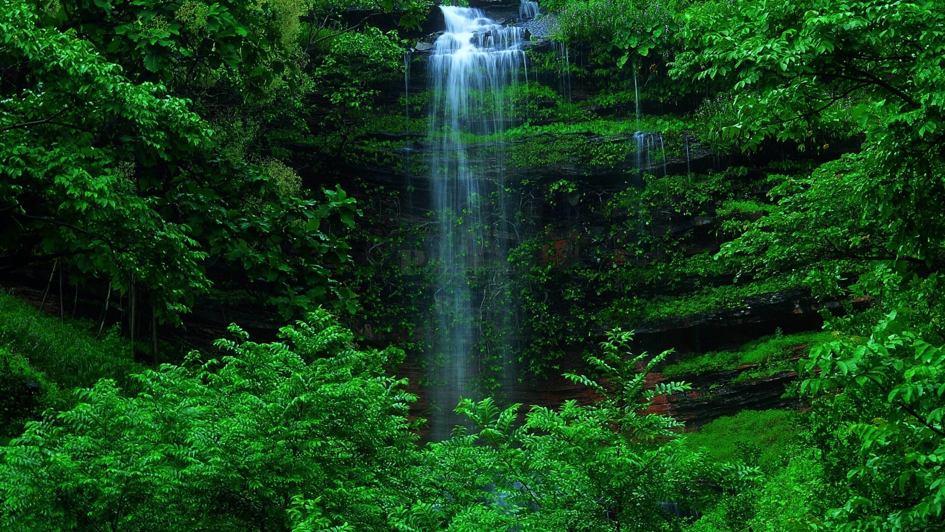 4k Ultra HD Wallpaper