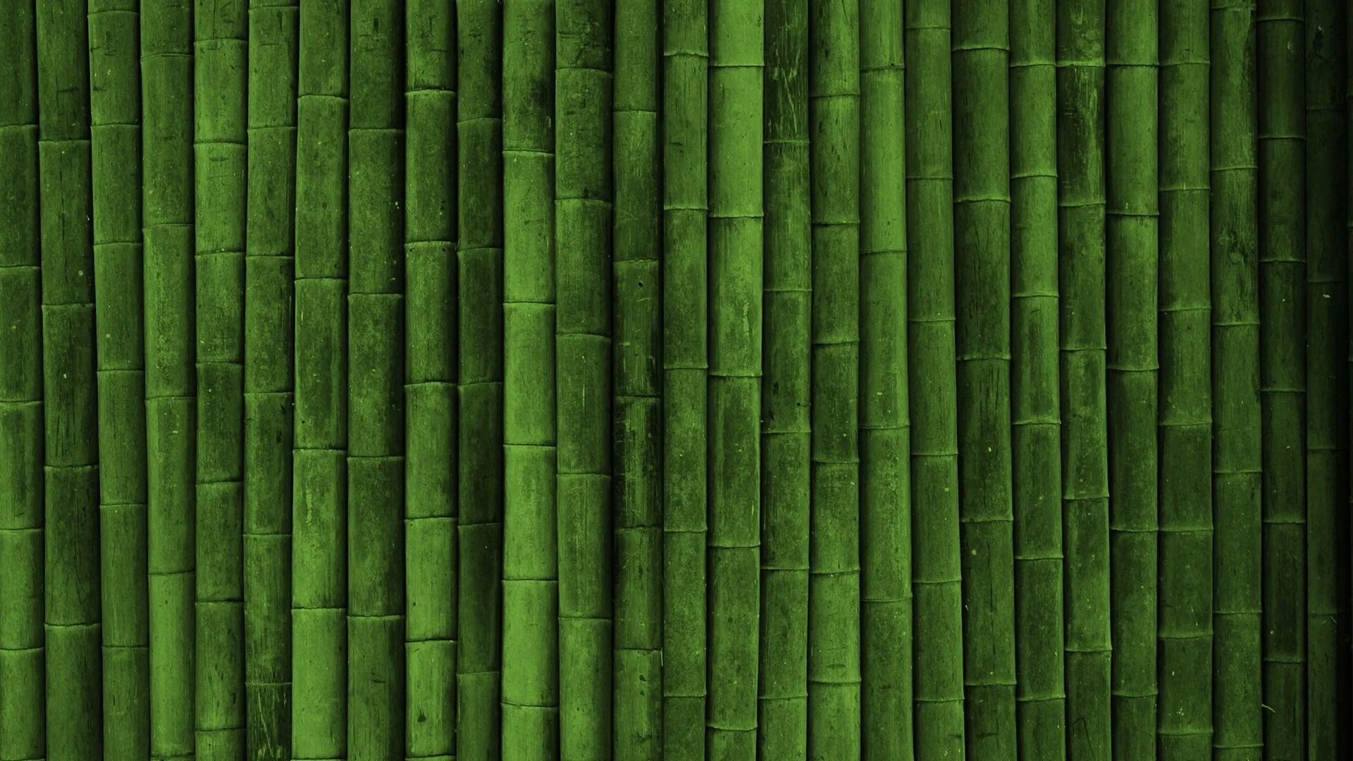 Bamboo Wall HD Desktop Wallpaper High Definition Fullscreen