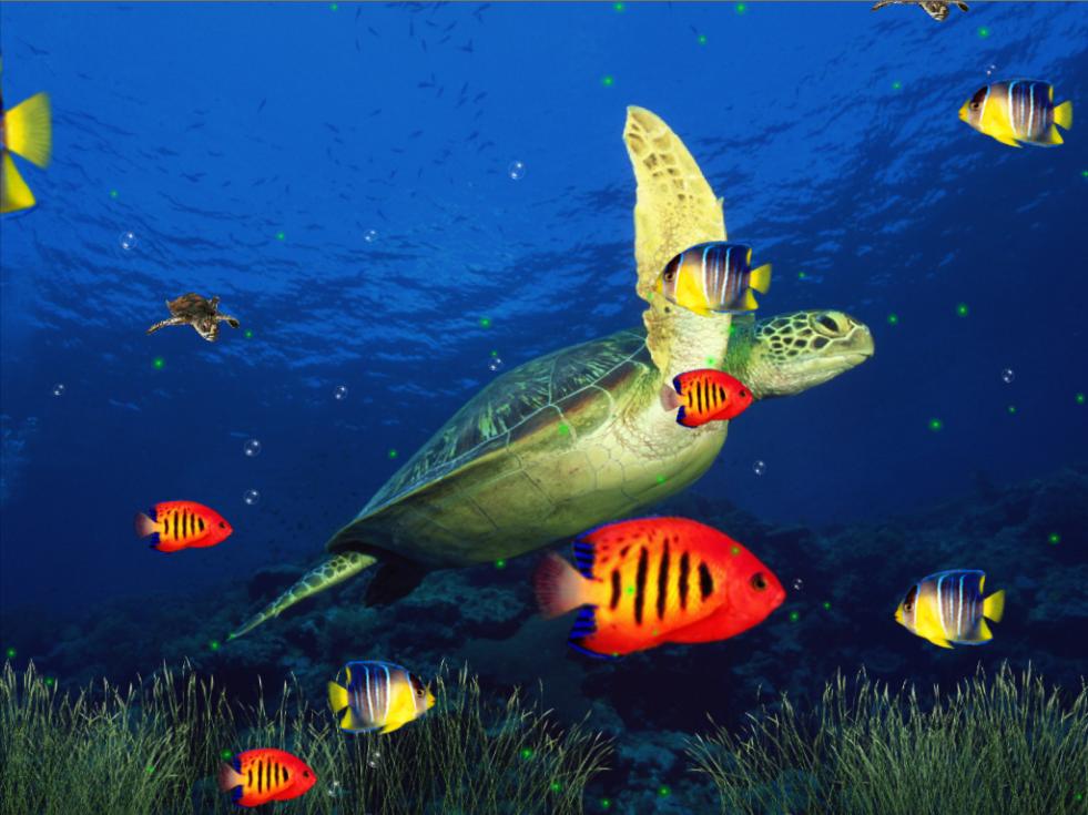  Aquarium 3D Screensaver full Windows 7 screenshot   Windows 7 Download 981x735