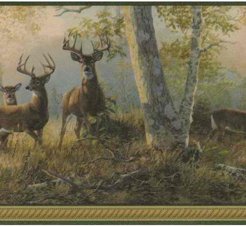 Green 418B349 Deer Wallpaper Border   Traditional WallpaperBorders 503x465
