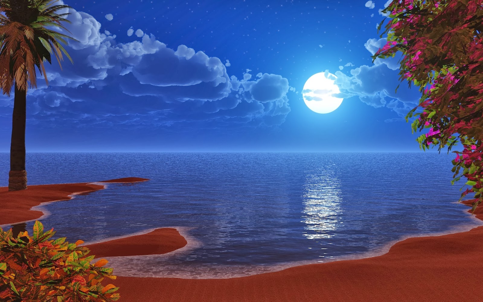 HD Night Beach WallPapers   Wallpapers Free