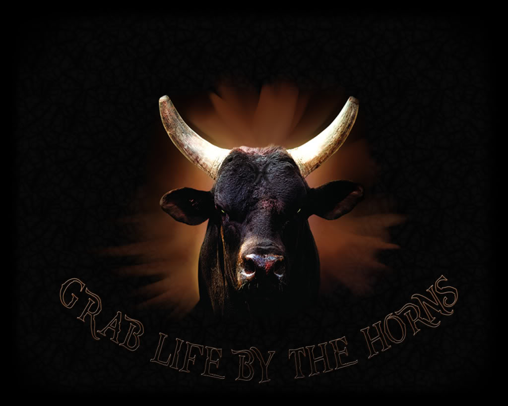  Life By The Horns Background   Grab Life By The Horns Wallpaper Free
