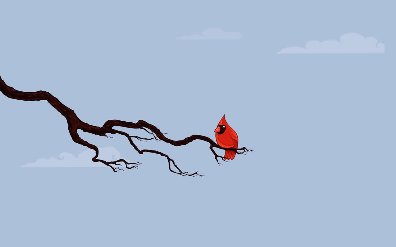 Set Below Image As Wallpaper