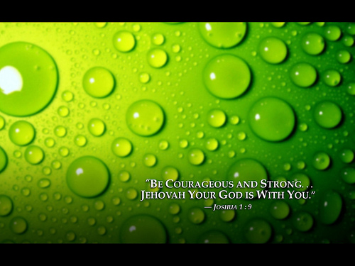 Green Water Drops Jehovah Witnesses Yeartext For iPad iPadmini