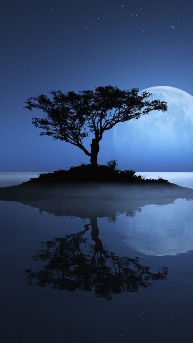 Full Moon Over The Lake Wallpaper iPhone