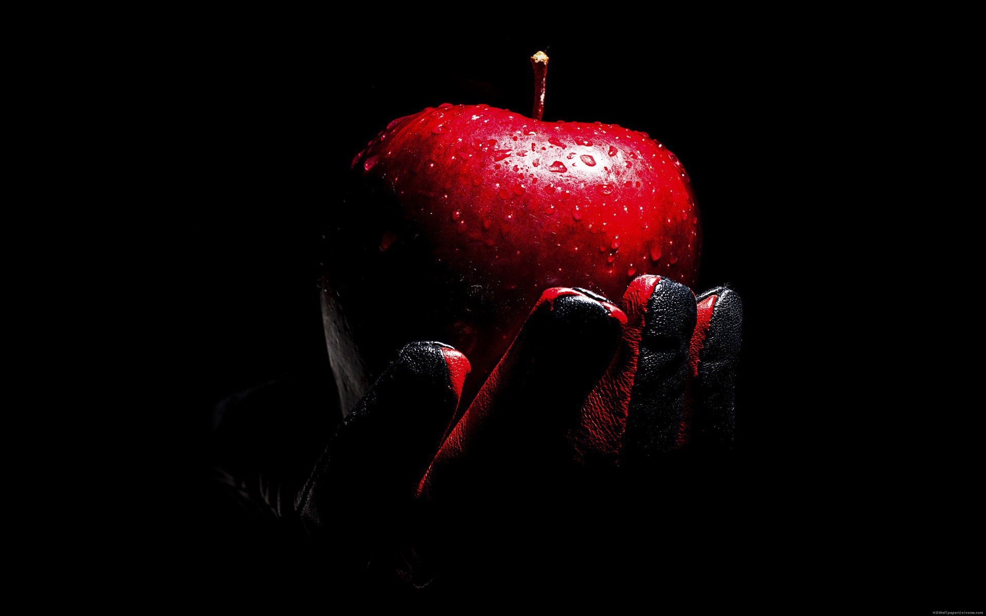 Red Apple Black Leather Glove HD Wallpaper