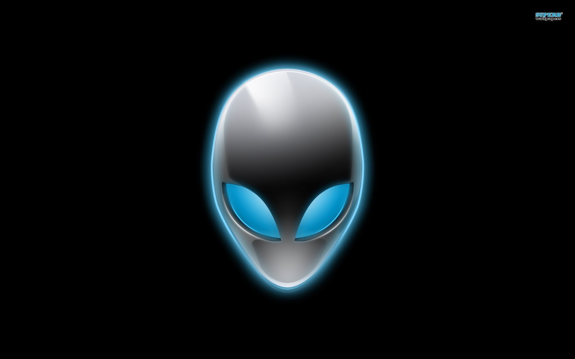 Alienware Logo wallpaper   811923