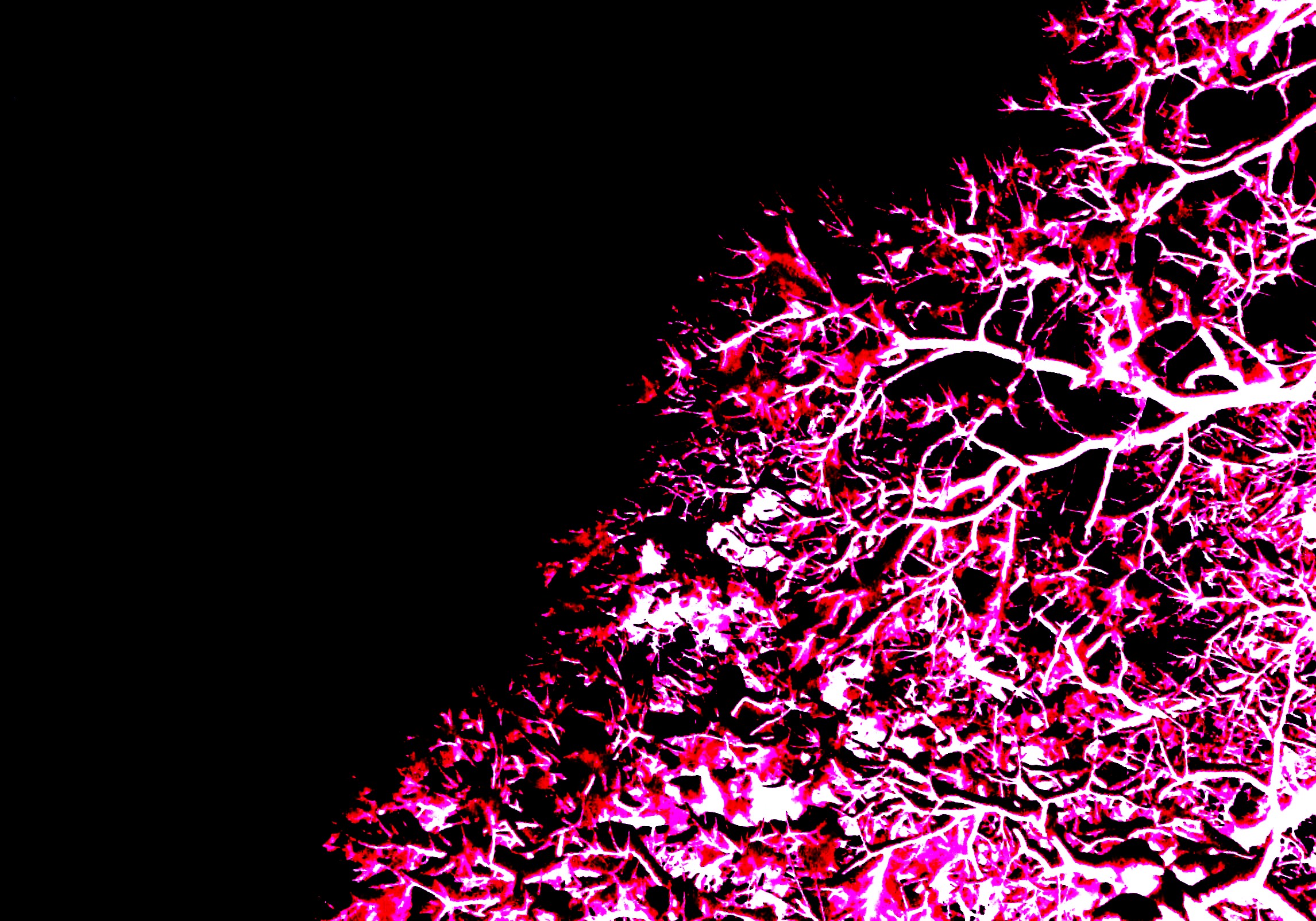 Neon Wallpaper Pink Glow Abstract Wide Jpg