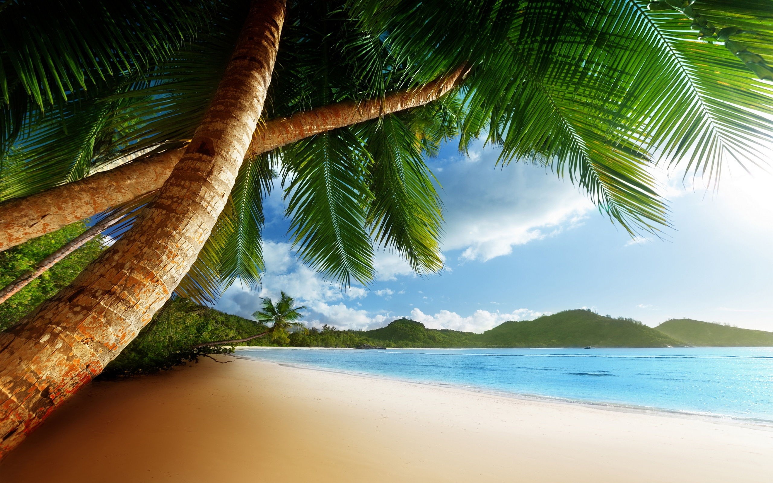 Awesome Caribbean Backgrounpictures New Best H Wallpaper Of