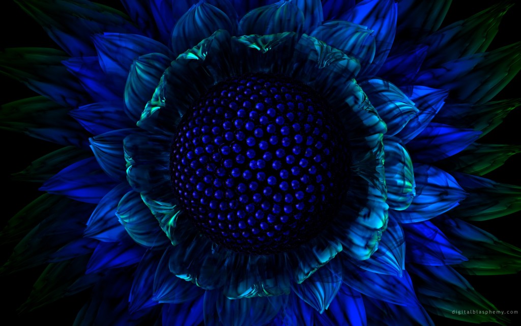 Dark Blue Flowers Wallpaper Cool