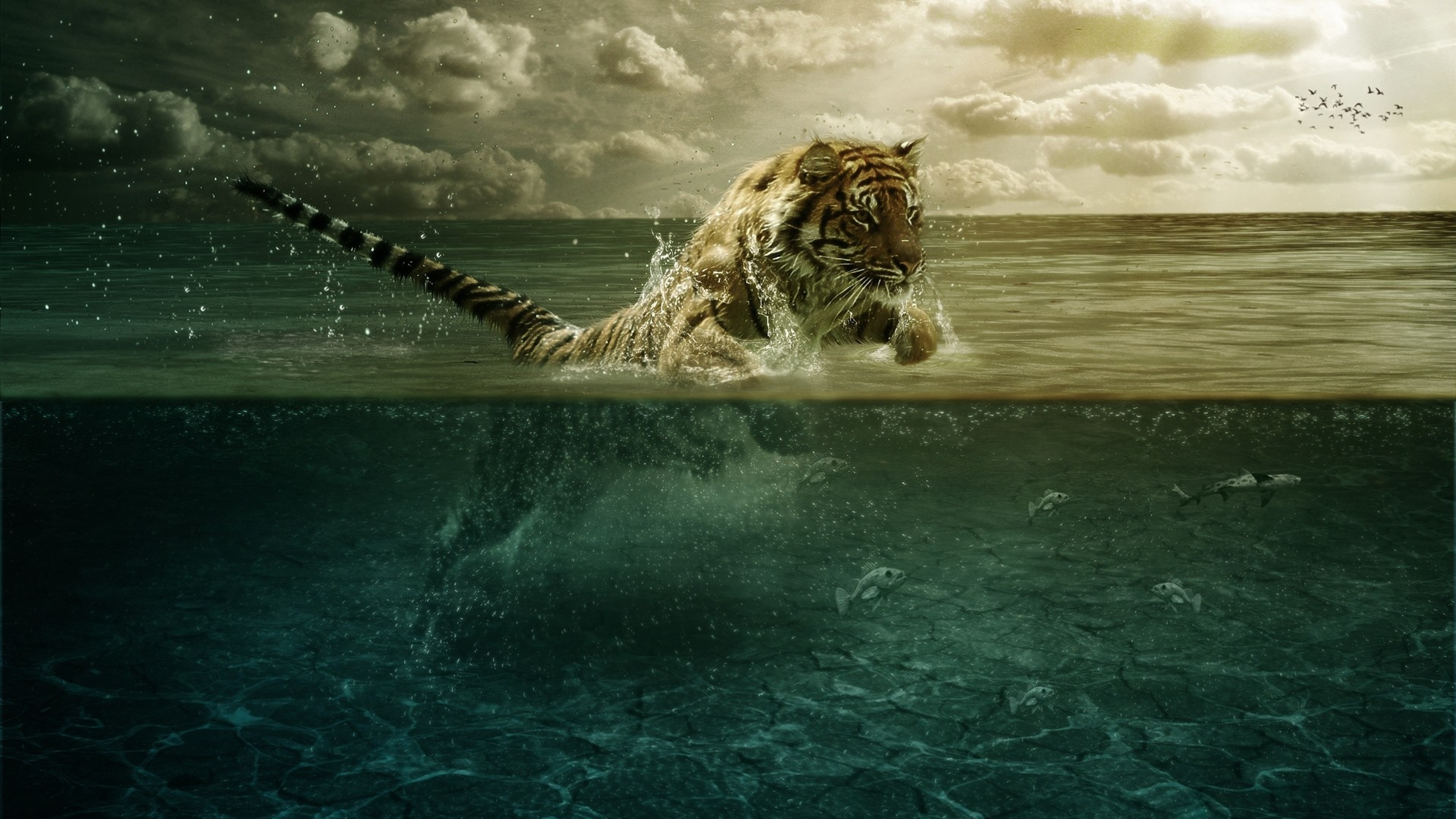 A tiger powerfully strides through the shallows of a vast ocean, its reflection mirrored below the surface amidst a school of fish. This 4k image captures the majestic beauty and strength of the tiger in a unique aquatic setting