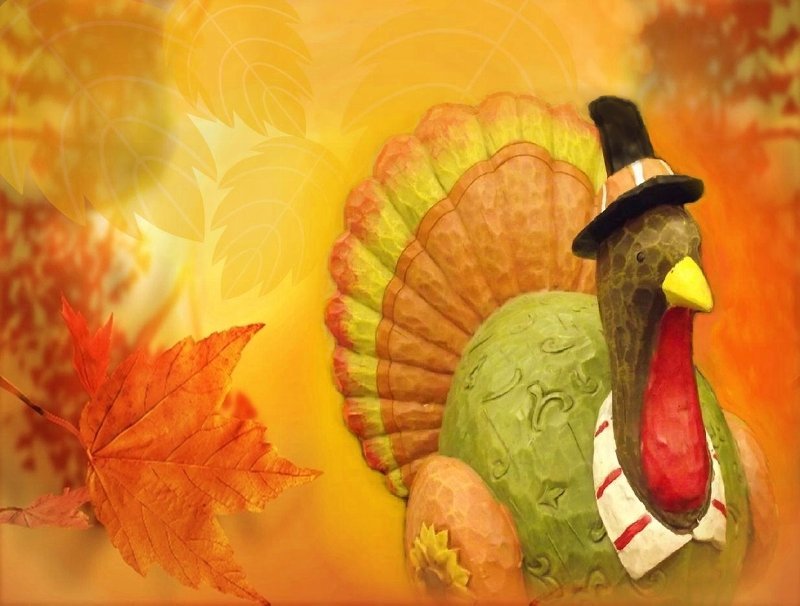 Thanksgiving Turkey Wallpaper