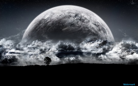 Moonlight Night HD Wallpaper Desktop Nexus
