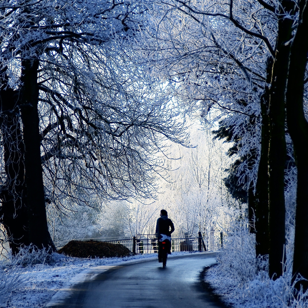Winter Road Scene iPad Air Wallpaper Download iPhone Wallpapers 1024x1024