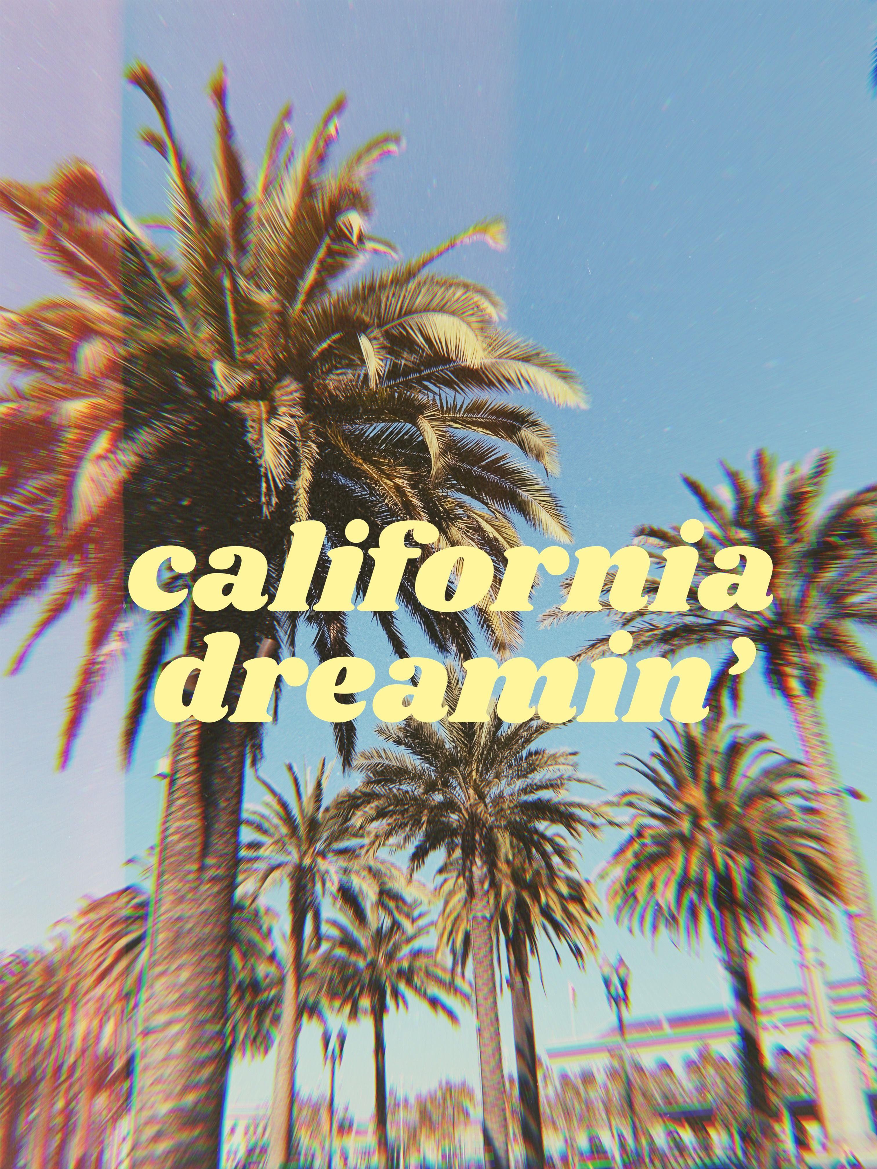 California Dreamin Palm Trees Wallpaper
