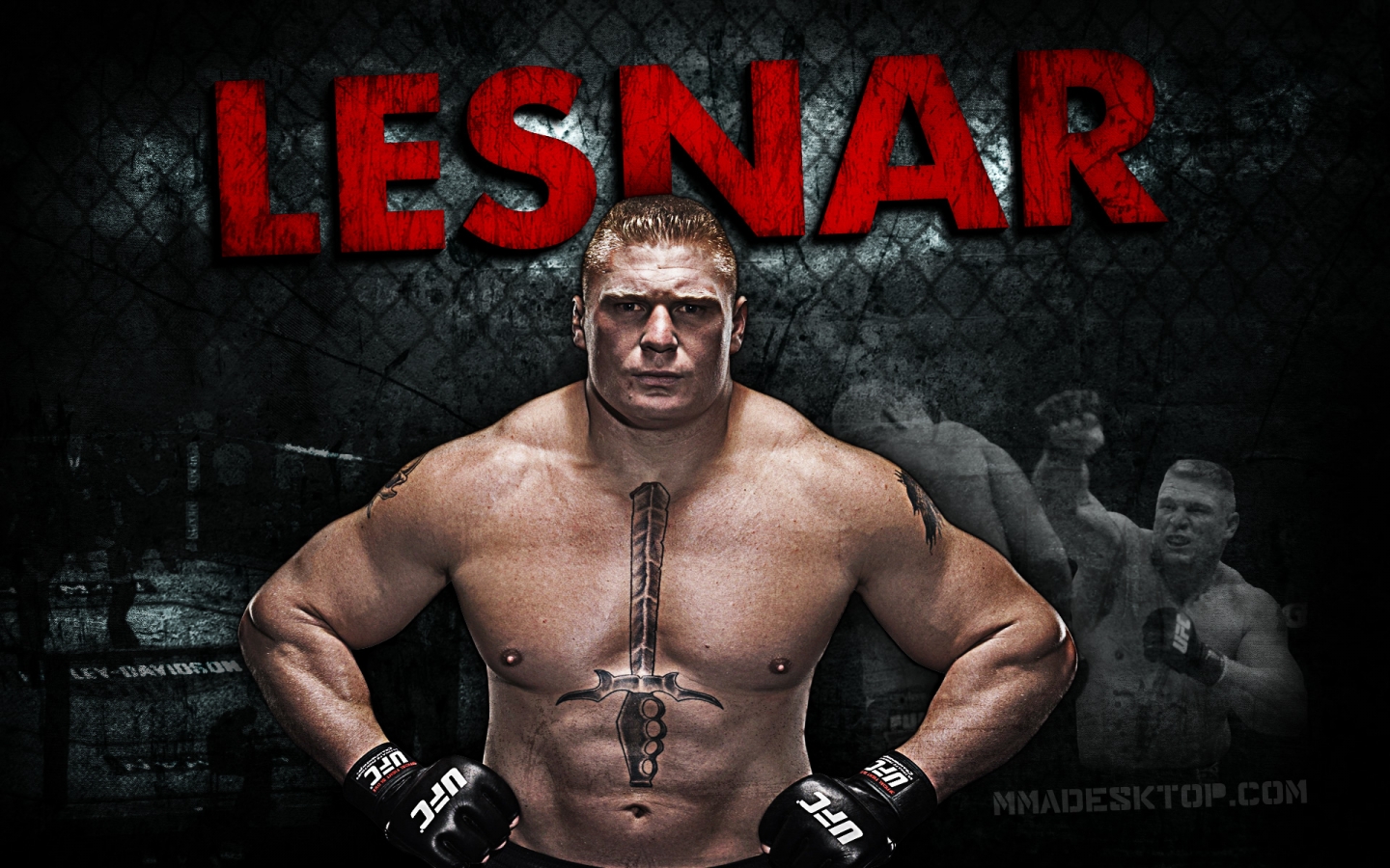 Sports Mma Mixed Martial Arts Brock Lesnar Wallpaper