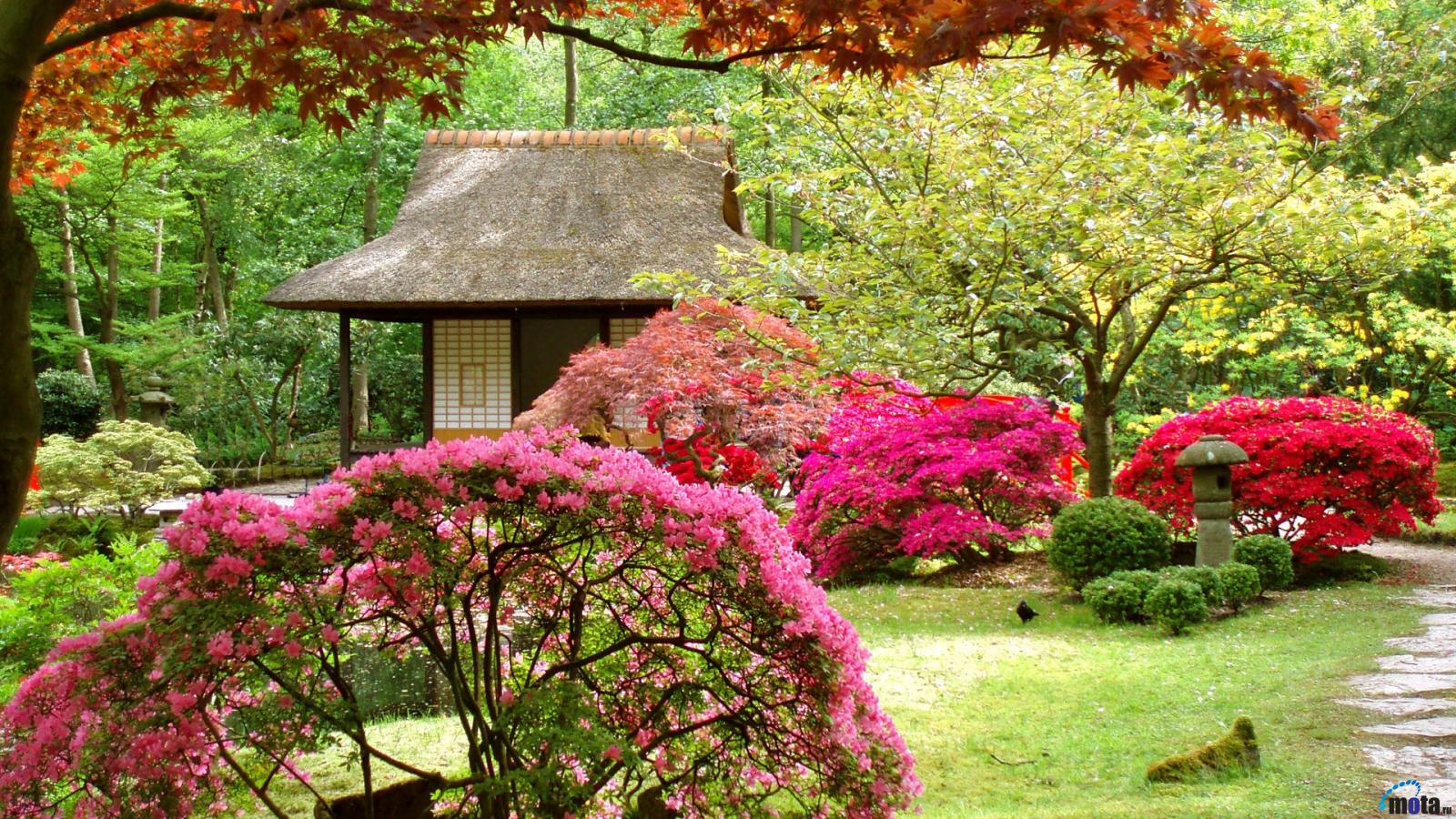 Wallpaper Japanese Garden X Widescreen