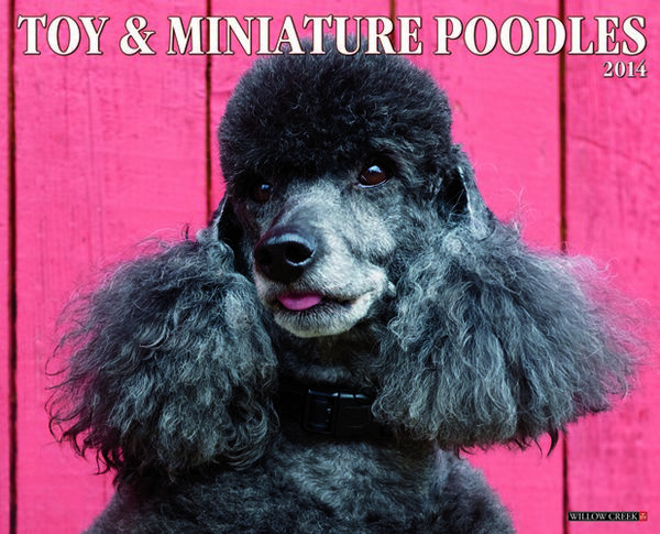 Just Toy Miniature Poodles Calendar At Megacalendars