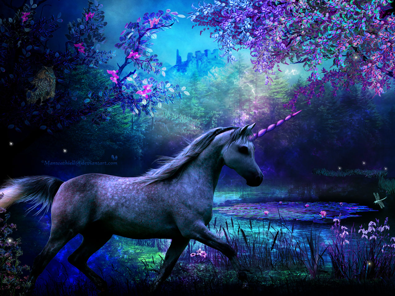 Unicorn Puter Wallpaper Desktop Background